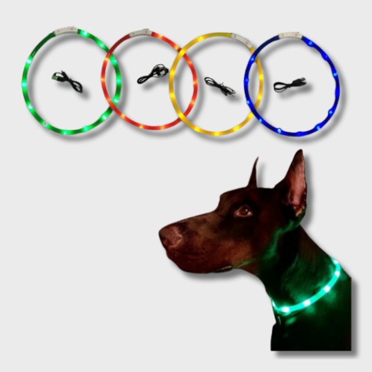 Ошейник светящийся (M)