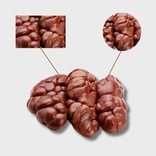 Почки говяжьи БЛОК (ОТ 4-х блоков)