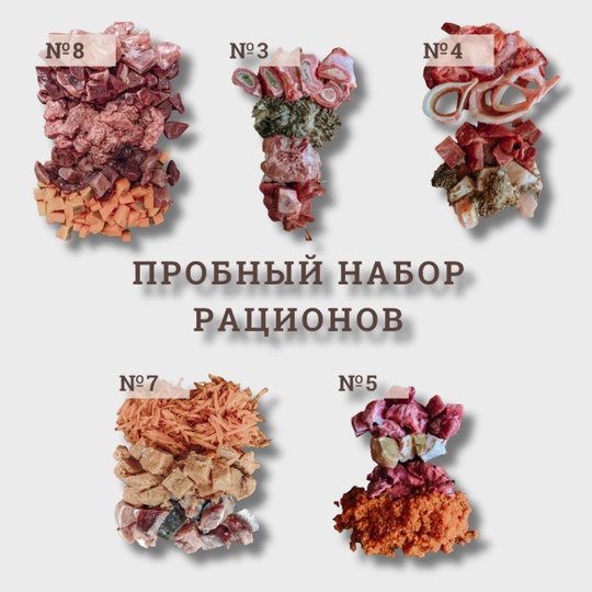 ПРОБНЫЙ НАБОР РАЦИОНОВ (10 шт. по 200г)