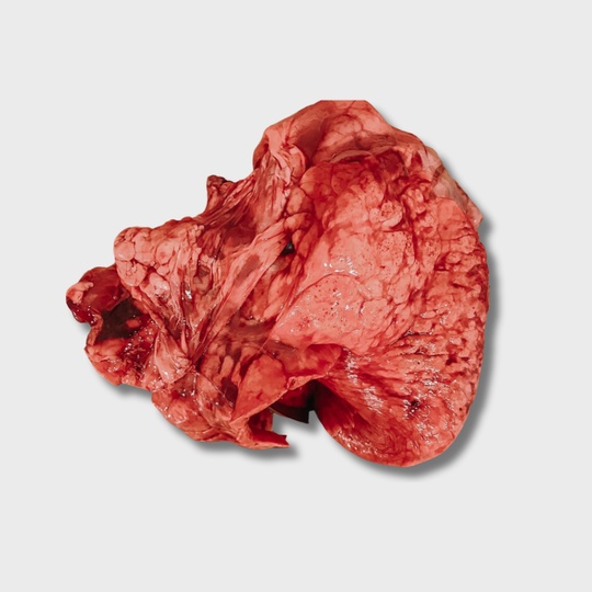 Ливер свиной