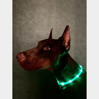 Ошейник светящийся