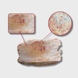 Вымя говяжье БЛОК (ДО 4-х блоков)