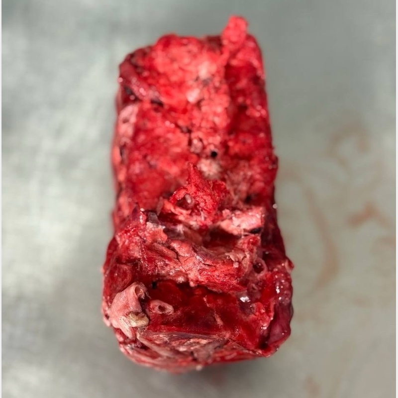 Легкое кролика