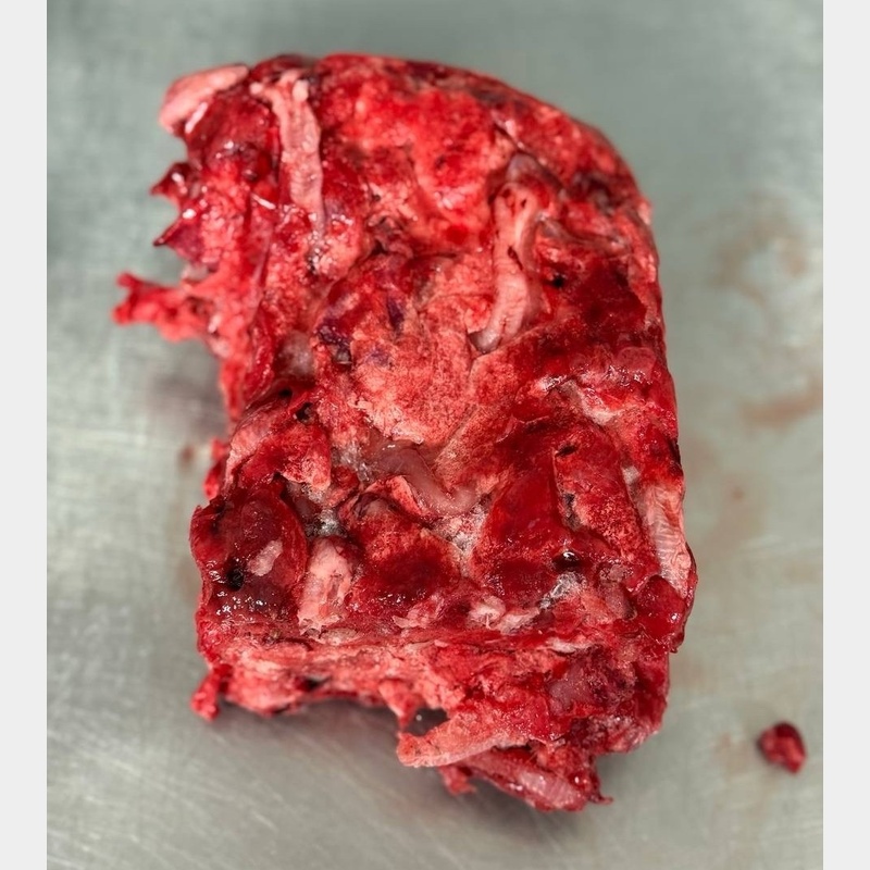 Легкое кролика