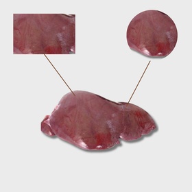 Печень говяжья БЛОК (до 4-х блоков)