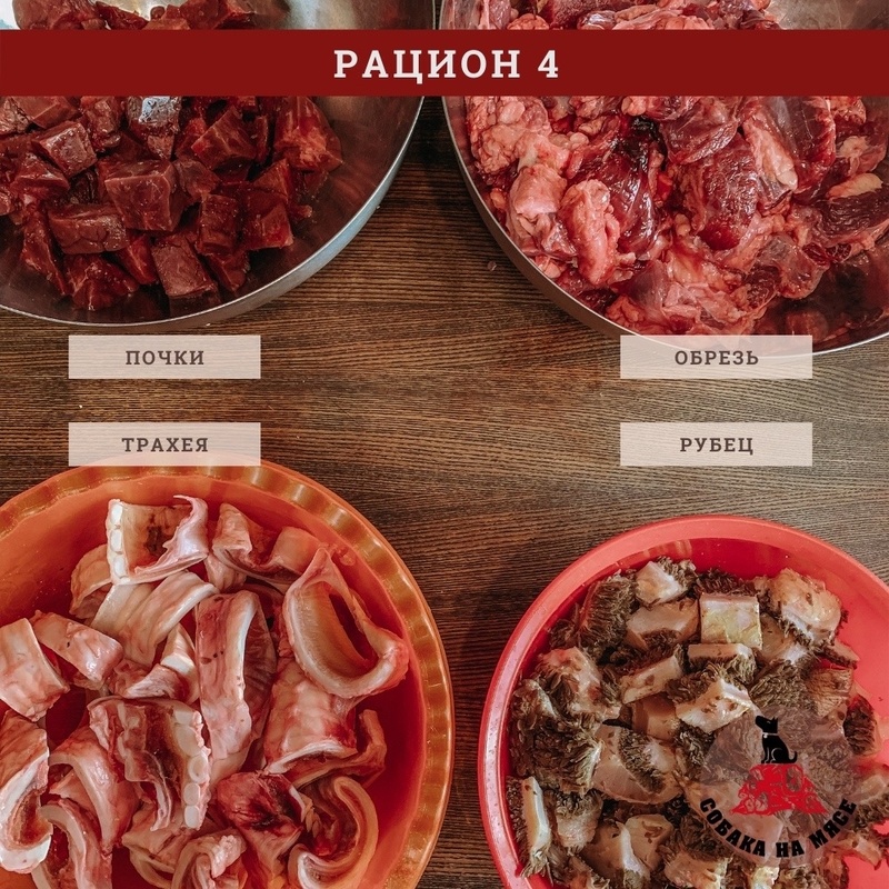 Рацион №4 Без овощей. Говядина 100 г
