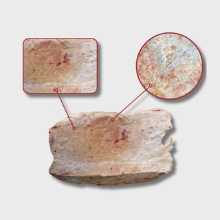 Вымя говяжье БЛОК (ДО 4-х блоков)