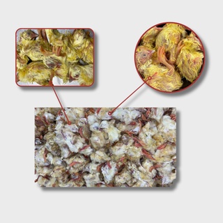 Суточные цыплята БЛОК (ОТ 4-х блоков)