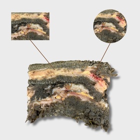 Рубец говяжий неочищенный БЛОК (от 4-х блоков)