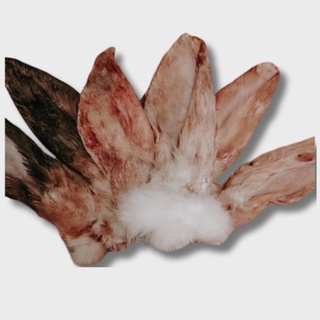 Уши кролика сырые