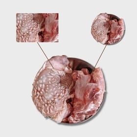 Подъязычный срез БЛОК (ДО 4-х блоков)