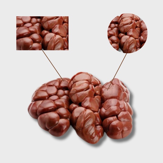 Почки говяжьи БЛОК (ДО 4-х блоков)