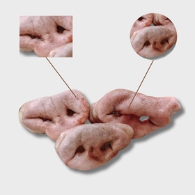 ПЯТАЧКИ СВИНЫЕ БЛОК (от 4-х блоков)