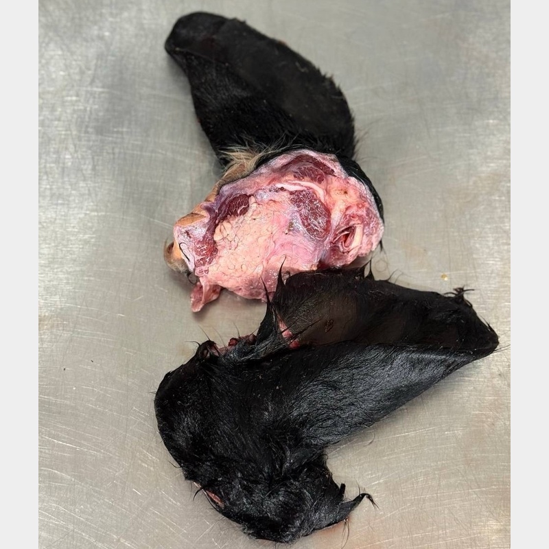 Уши говяжьи