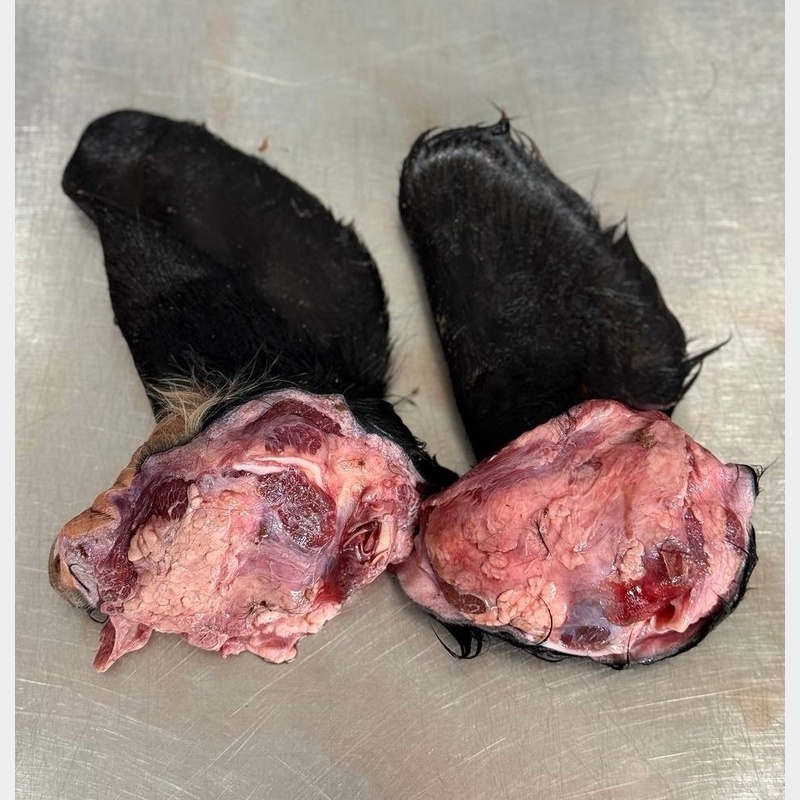 Уши говяжьи