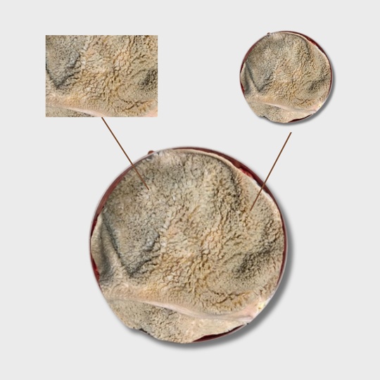 Рубец бараний неочищенный БЛОК (от 4-х блоков)