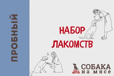 Подарочный (1)